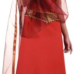 Overig Dameskostuum Bollywood Kajol