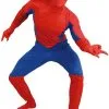 Overig Herenkostuum Spiderman -Kostuum Wereld Winkel herenkostuum spiderman