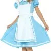 Overig Jurk Alice Wonderland Voor Meisjes -Kostuum Wereld Winkel jurk alice wonderland voor meisjes