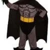 Overig Kinderkostuum Batman Vleermuisheld