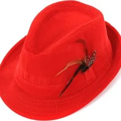 Overig Tiroler Hoed Rood Met Veertje (velours)