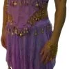 Overig Top Met Rokje 1001 Nacht Paars -Kostuum Wereld Winkel top met rokje 1001 nacht paars